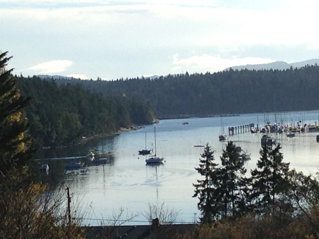 Joe Squire One Percent Realty Ltd. (Nanaimo) Thetis Island